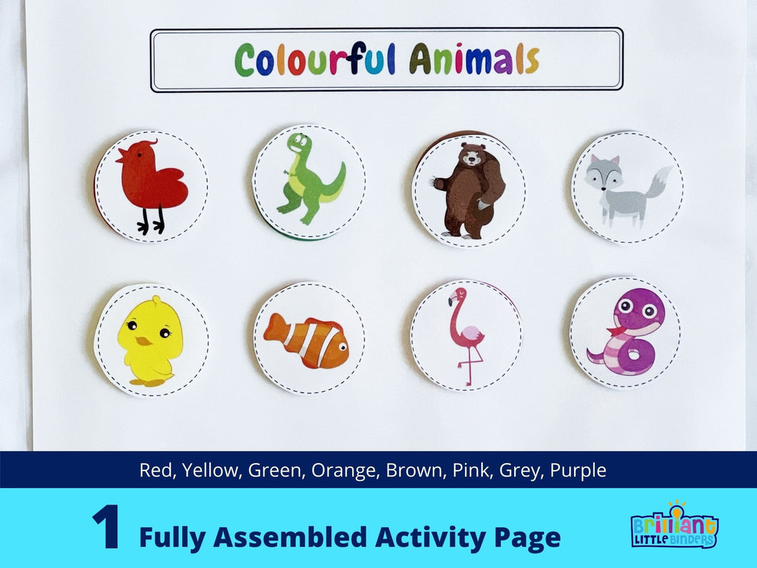 Colourful animals activity